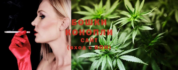 не бодяженный Белокуриха
