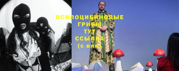 не бодяженный Белокуриха