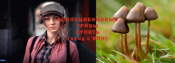 не бодяженный Белокуриха