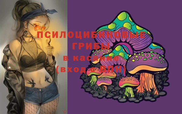 не бодяженный Белокуриха