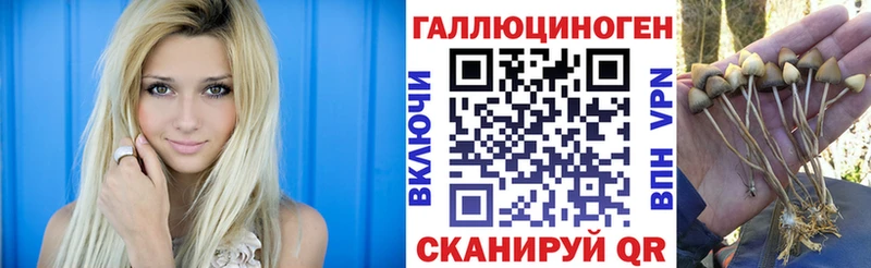 Псилоцибиновые грибы Magic Shrooms  МЕГА tor  Заинск  купить  
