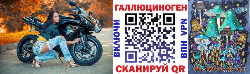 Псилоцибиновые грибы мухоморы Заинск